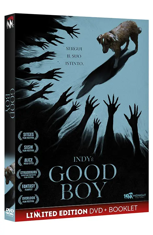 Good Boy - Limited Edition Midnight Factory DVD + Booklet (DVD)