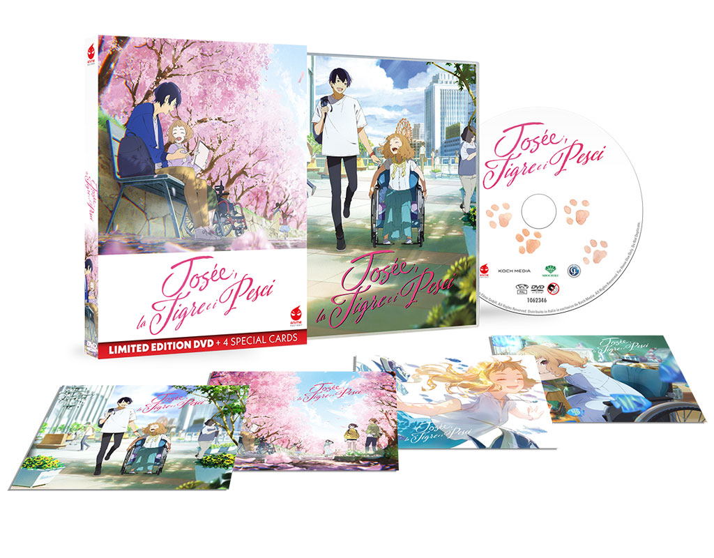 Josée, la Tigre e i Pesci - Limited Edition DVD + 4 Special Cards (DVD) Image 9