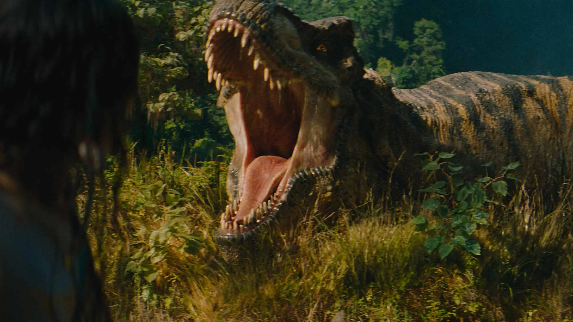 Jurassic World - La Rinascita - DVD (DVD) Jurassic World - La Rinascita - DVD (DVD)
