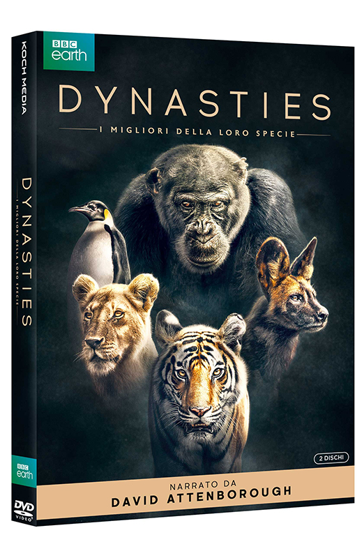 Dynasties - I Migliori della Loro Specie - 2 DVD + Cards da Collezione (DVD) Cover Dynasties - I Migliori della Loro Specie - 2 DVD + Cards da Collezione (DVD) Cover