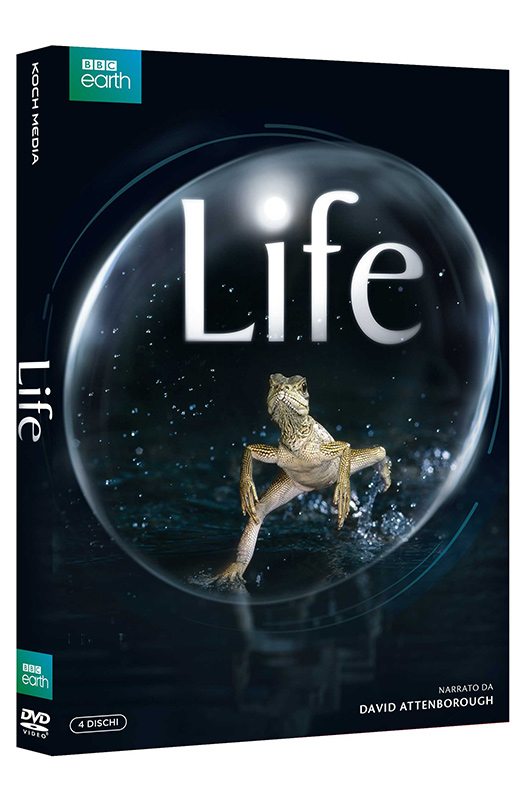 Life - Boxset 4 DVD (DVD) Cover Life - Boxset 4 DVD (DVD) Cover