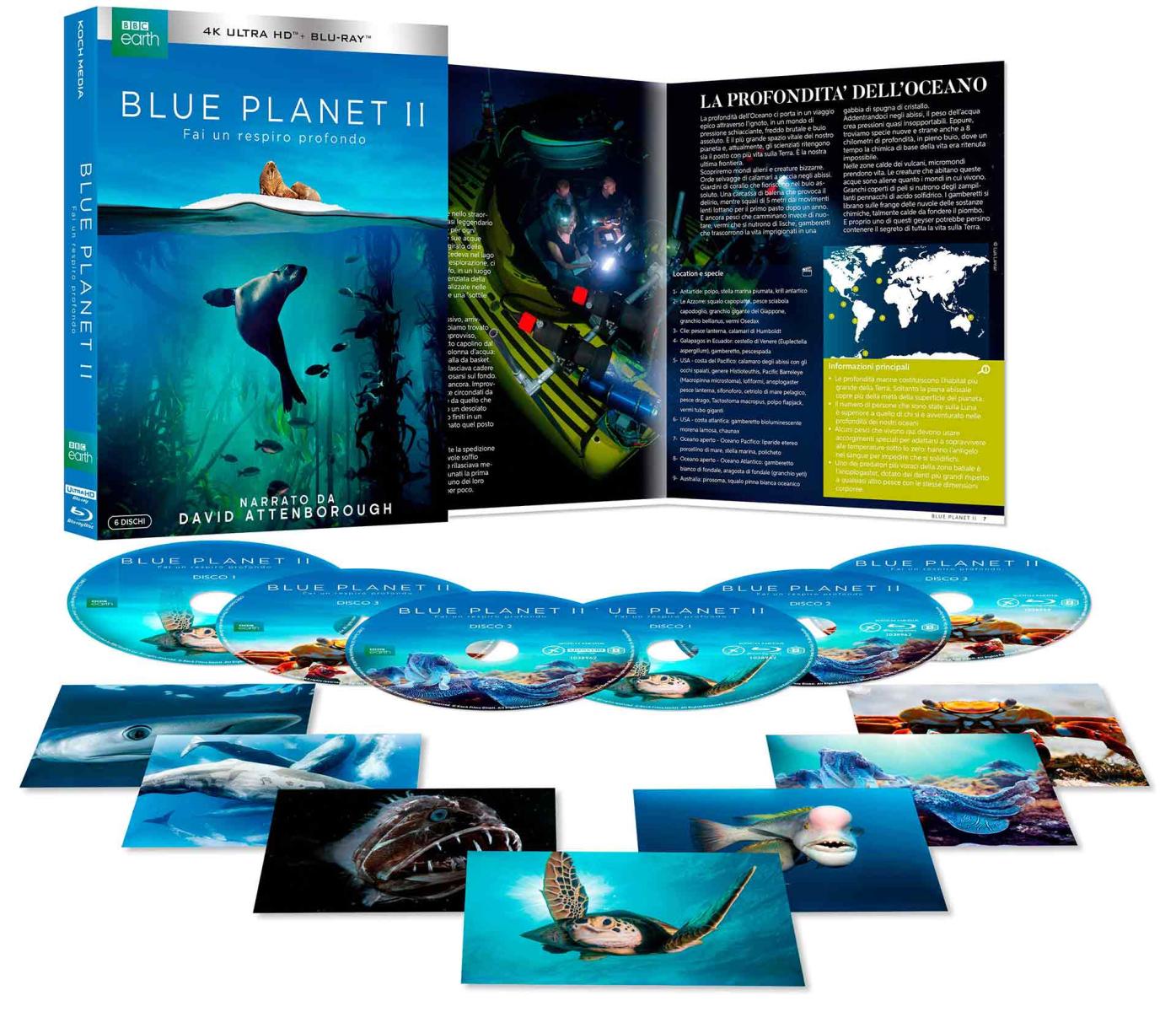 Blue Planet II - Blu-ray 4K UHD + Blu-ray - 6 Blu-ray + Booklet (Blu-ray) Blue Planet II - Blu-ray 4K UHD + Blu-ray - 6 Blu-ray + Booklet (Blu-ray)