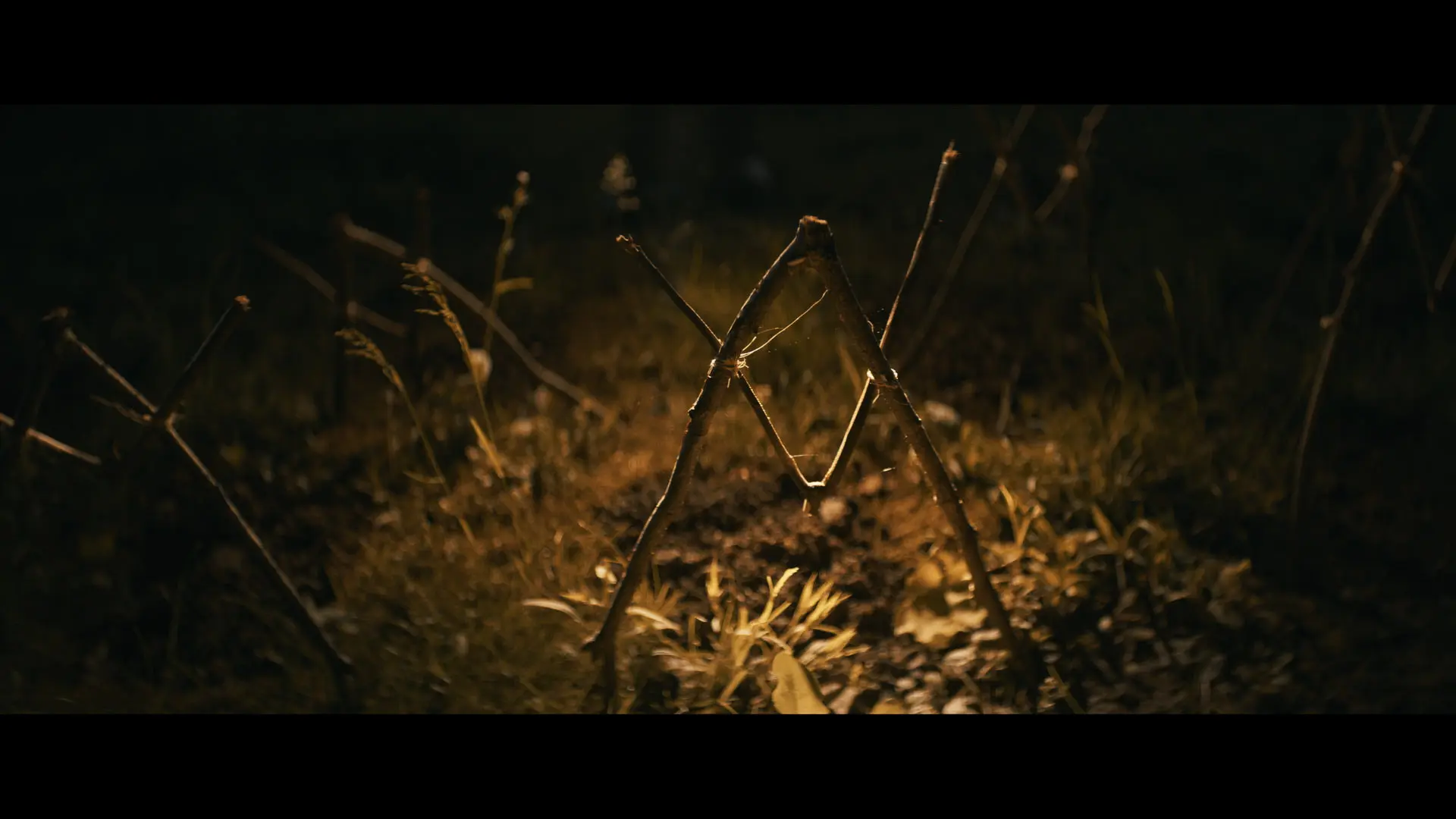 Shelby Oaks - Il Covo del Male - Limited Edition Midnight Factory DVD + Booklet (DVD)