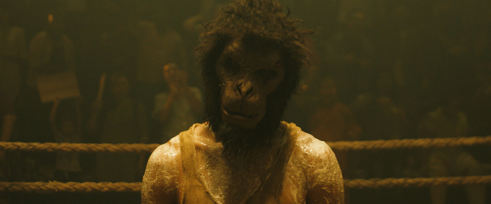 Monkey Man - DVD (DVD) Person, Mammal, Monkey, Wildlife, Ape