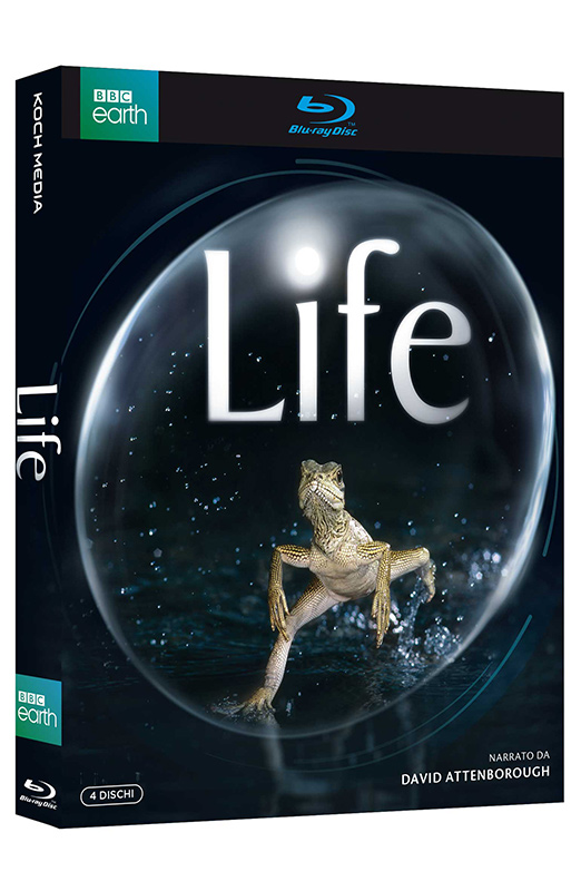Life - Boxset 4 Blu-ray (Blu-ray)