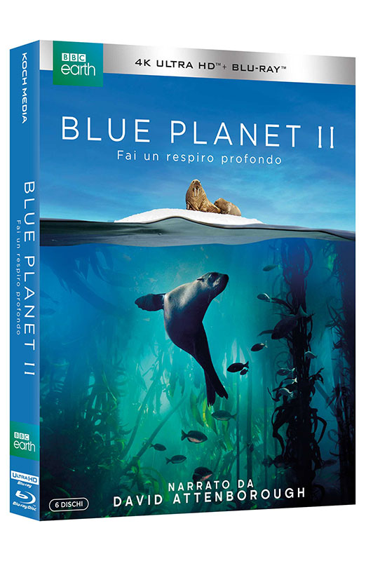 Blue Planet II - Blu-ray 4K UHD + Blu-ray - 6 Blu-ray + Booklet (Blu-ray) Cover Blue Planet II - Blu-ray 4K UHD + Blu-ray - 6 Blu-ray + Booklet (Blu-ray) Cover