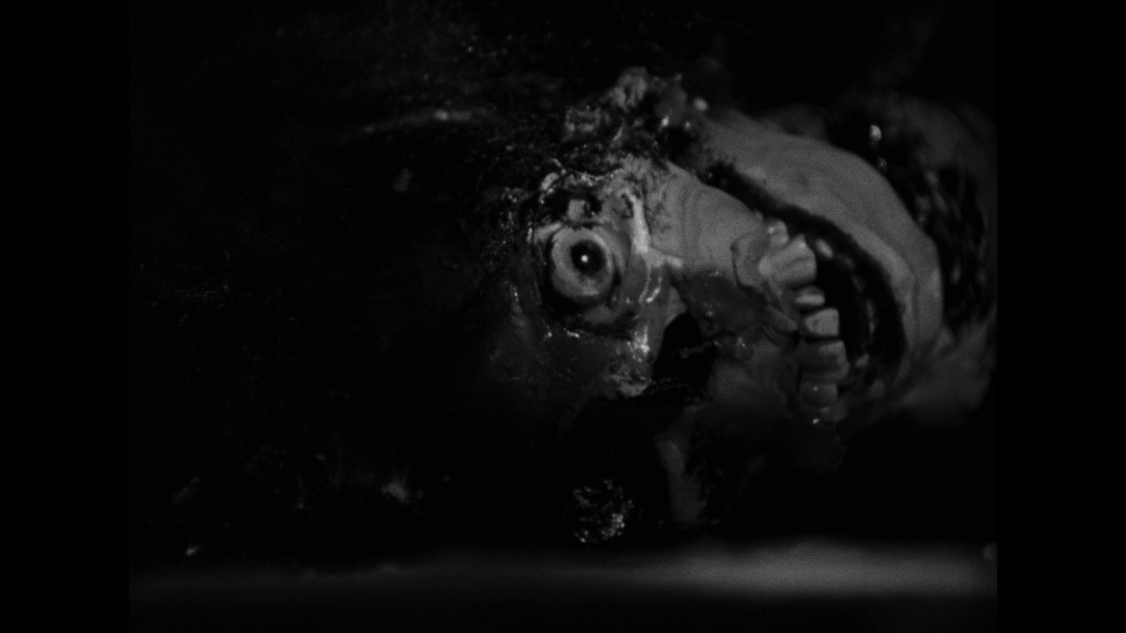 Night of the Living Dead - Limited Edition 4K Ultra HD + Blu-ray + Book da Collezione (Blu-ray) Image 7