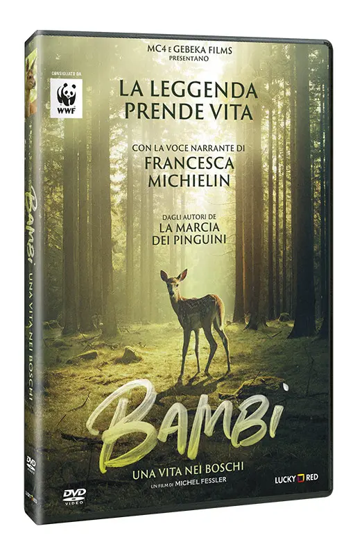 Bambi - Una Vita nei Boschi - DVD (DVD)