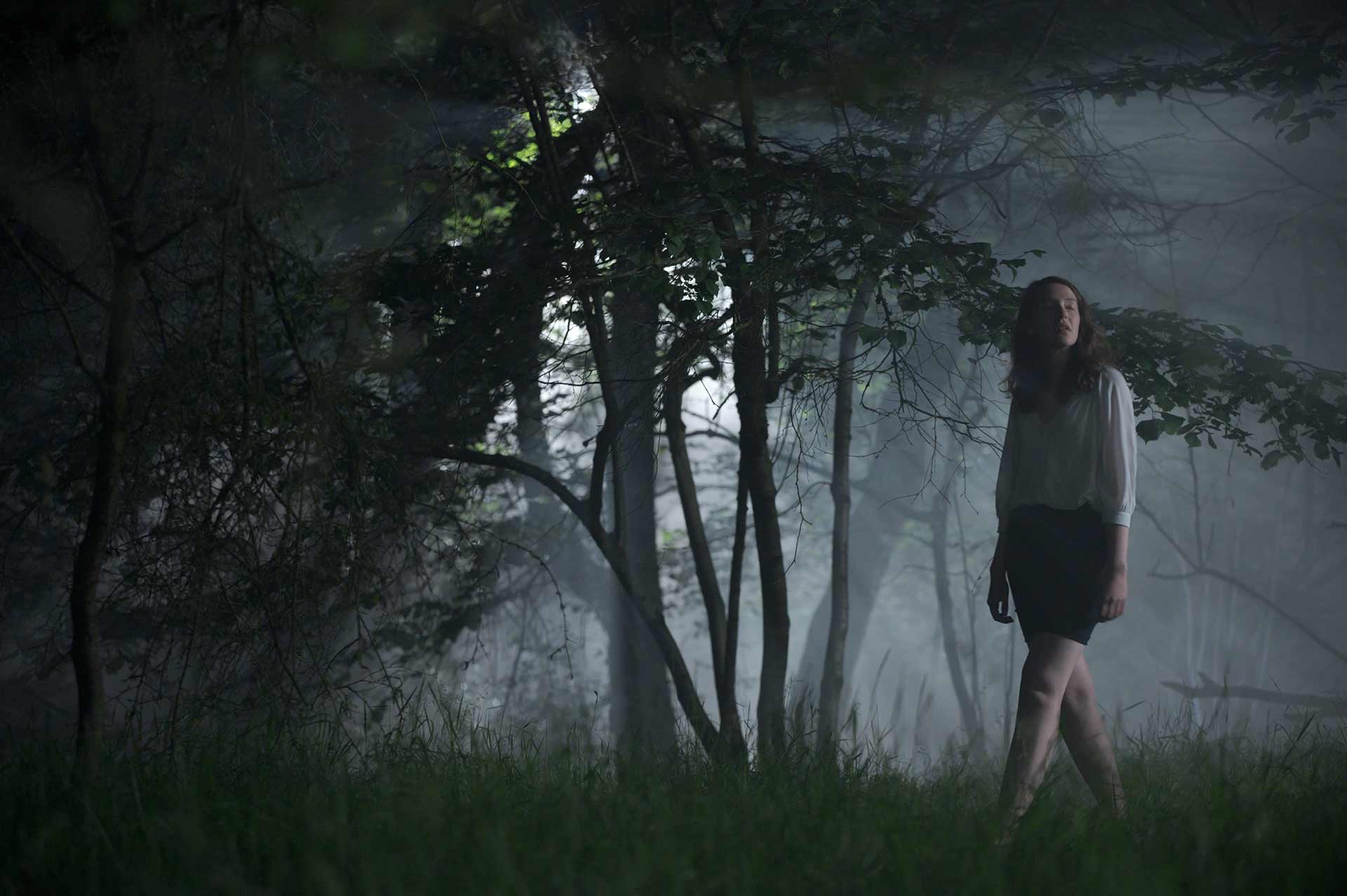 Midnight Factory Channel Box - Limited Edition Midnight Factory 3 Blu-ray + Booklet (Blu-ray) Walking, Weather, Vegetation, Photography, Jungle