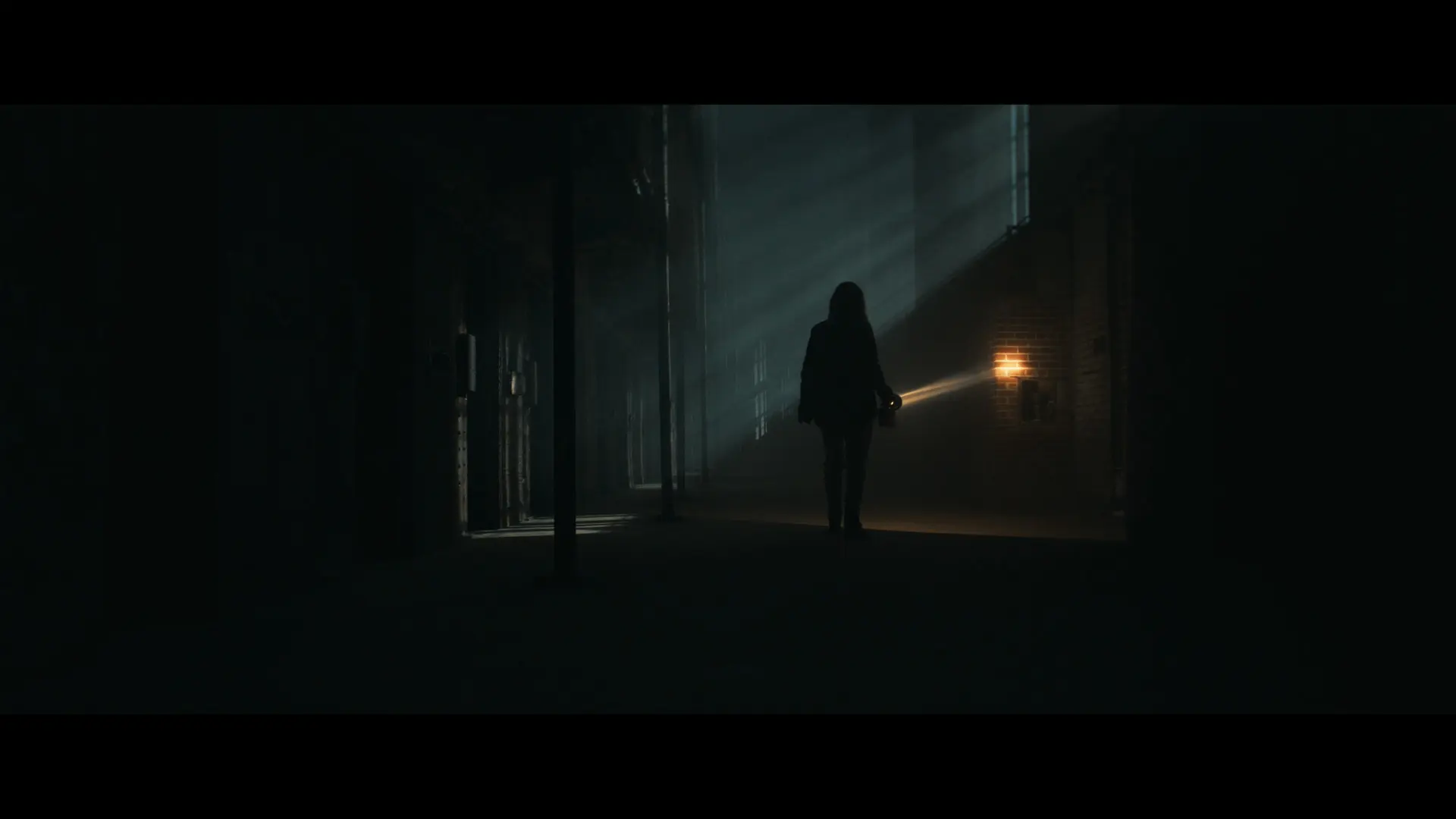 Shelby Oaks - Il Covo del Male - Limited Edition Midnight Factory DVD + Booklet (DVD)