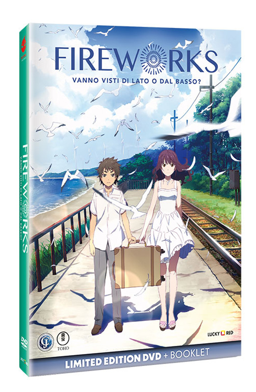 Fireworks - Vanno Visti di Lato o dal Basso? - Limited Edition DVD + Booklet (DVD) Fireworks - Vanno Visti di Lato o dal Basso? - Limited Edition DVD + Booklet (DVD)