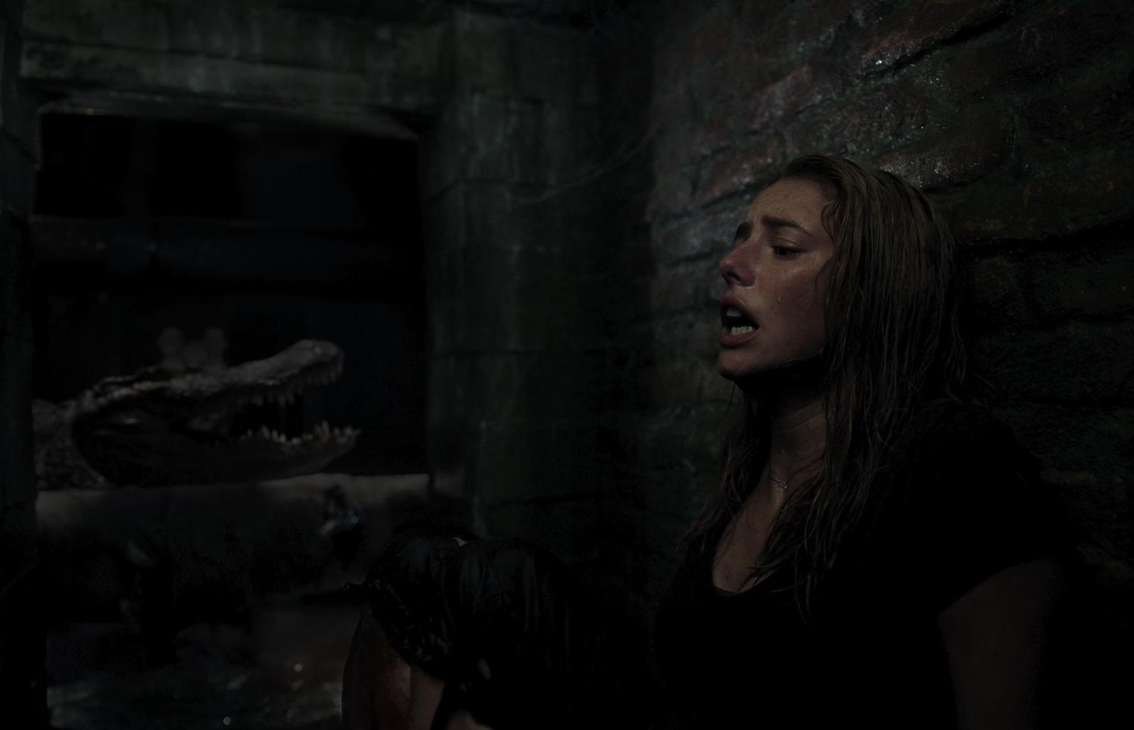 Crawl - Intrappolati - Blu-ray 4K UHD + Blu-ray - Collector's Edition (Blu-ray) Crawl - Intrappolati - Blu-ray 4K UHD + Blu-ray - Collector's Edition (Blu-ray)