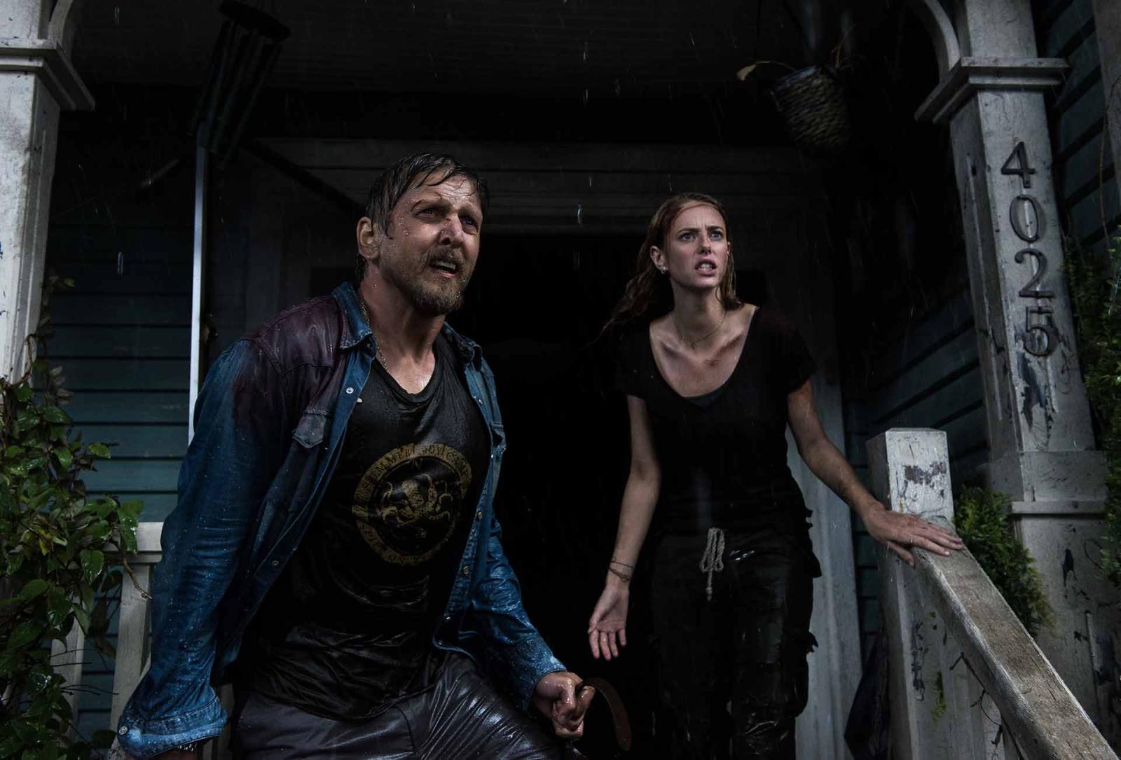 Crawl - Intrappolati - Blu-ray 4K UHD + Blu-ray - Collector's Edition (Blu-ray) Crawl - Intrappolati - Blu-ray 4K UHD + Blu-ray - Collector's Edition (Blu-ray)