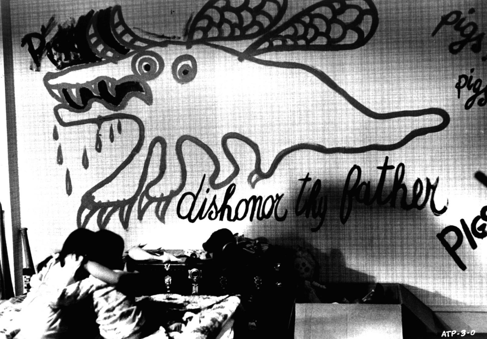 The Amityville Horror Trilogy - Limited Edition 3 DVD + Book da Collezione (DVD) The Amityville Horror Trilogy - Limited Edition 3 DVD + Book da Collezione (DVD)