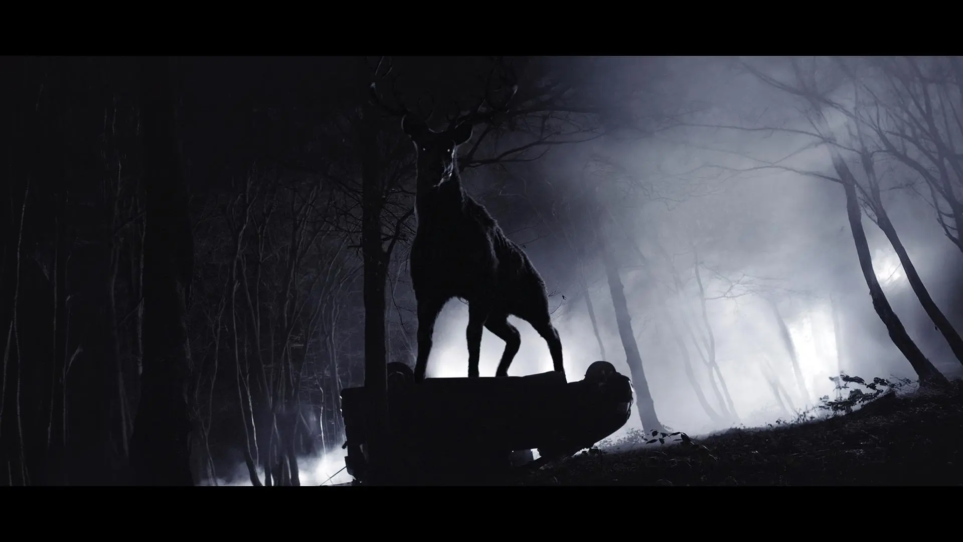 Bambi - La Vendetta - Steelbook Midnight Factory 4K Ultra HD + Blu-ray + Booklet (Blu-ray) Bambi - La Vendetta - Steelbook Midnight Factory 4K Ultra HD + Blu-ray + Booklet (Blu-ray)